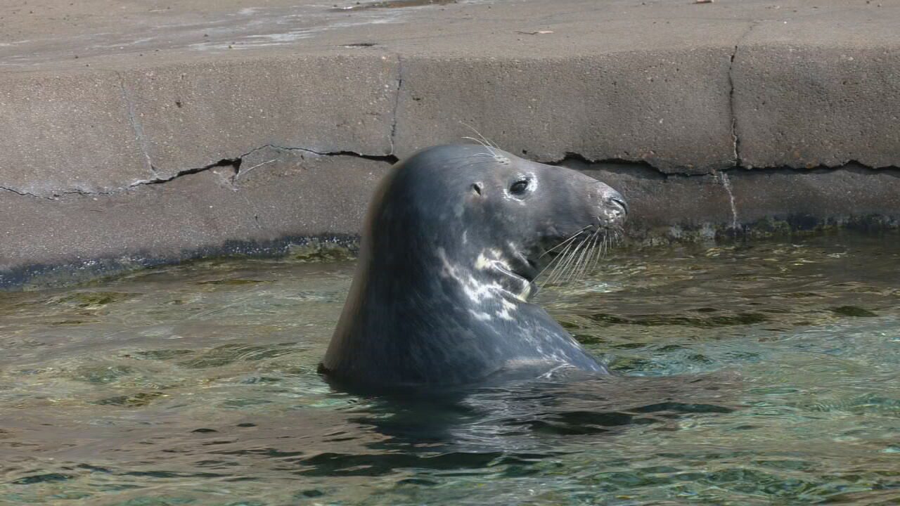WATER DAY AT THE ZOO.jpeg